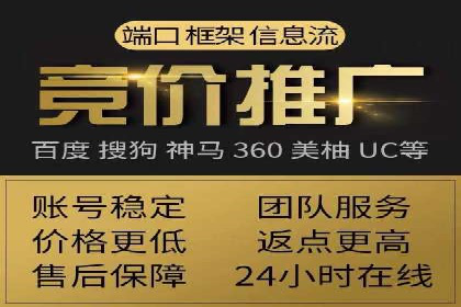 成功案例解析：SEO与SEM协同营销策略